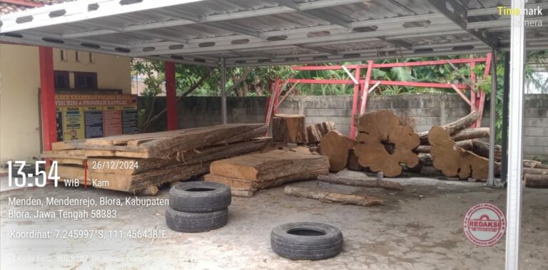 Warga Mendenrejo Pertanyakan Transparansi Kasus Kayu Jati Tumbang di Kuwung
