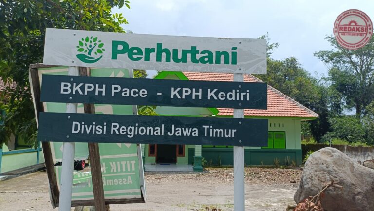LSM GMBI Wilter Jatim dan Distrik Nganjuk Mengadakan Audiensi dengan BKPH Pace – KPH Kediri Terkait Legalitas Tambang
